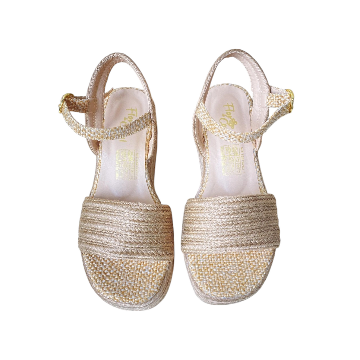 Plataforma Ref. Ana Lucia